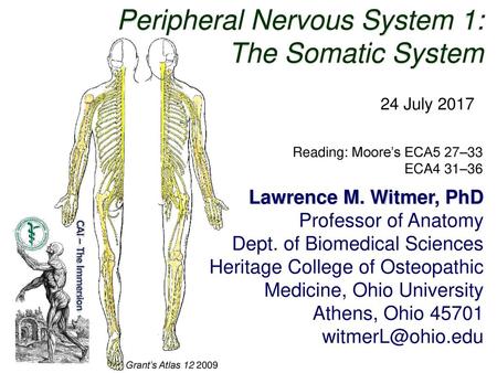 Peripheral Nervous System 1: The Somatic System