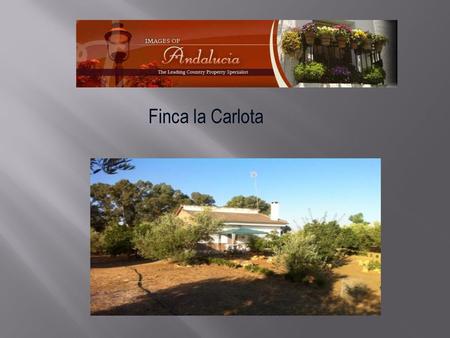 Finca la Carlota.