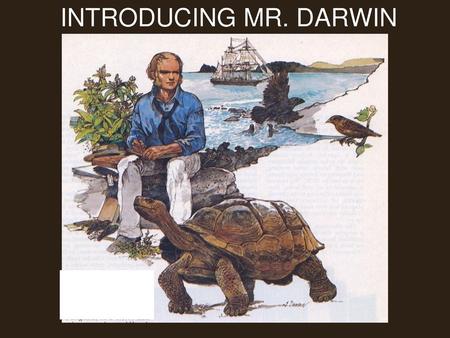 INTRODUCING MR. DARWIN.