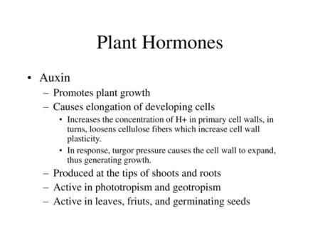 Plant Hormones Auxin Promotes plant growth