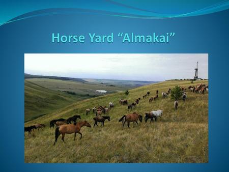 Horse Yard “Almakai”.