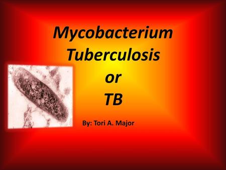 Mycobacterium Tuberculosis or TB