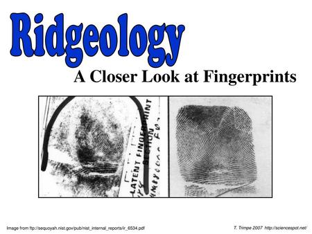 A Closer Look at Fingerprints