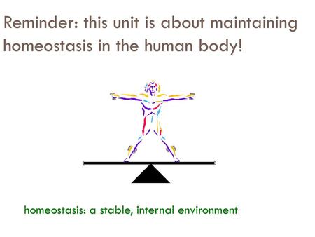 Reminder: this unit is about maintaining homeostasis in the human body! homeostasis: a stable, internal environment.