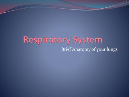 Brief Anatomy of your lungs