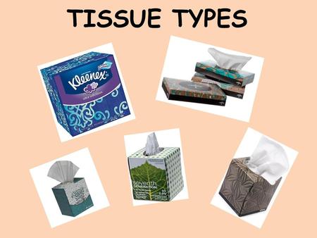 TISSUE TYPES.