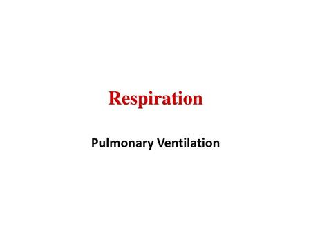 Pulmonary Ventilation