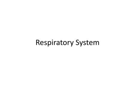 Respiratory System.