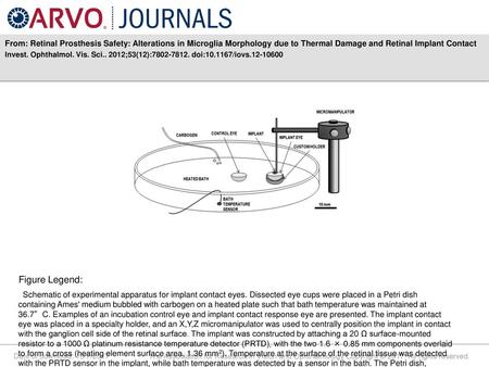 From: Retinal Prosthesis Safety: Alterations in Microglia Morphology due to Thermal Damage and Retinal Implant Contact Invest. Ophthalmol. Vis. Sci.. 2012;53(12):7802-7812.