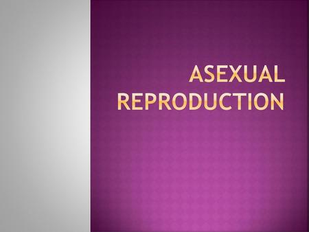 Asexual Reproduction.