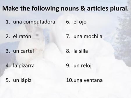 Make the following nouns & articles plural.