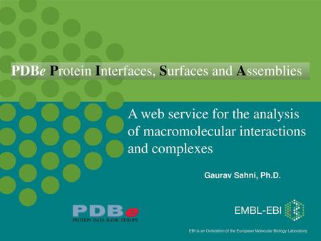 PDBe Protein Interfaces, Surfaces and Assemblies