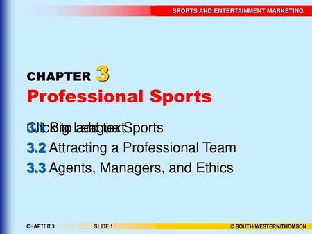 CHAPTER 3 Professional Sports