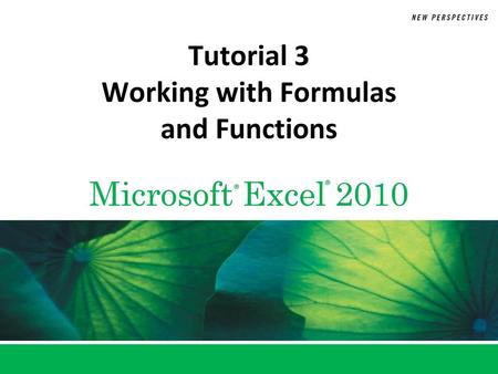 Tutorial 3 Working with Formulas and Functions