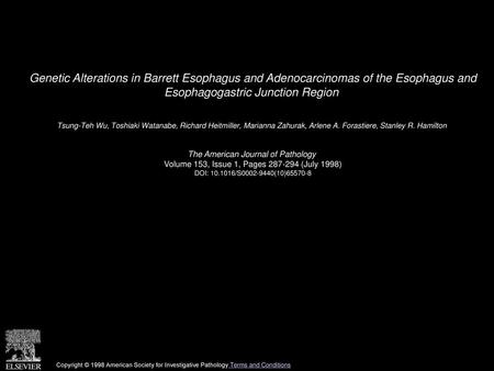 Genetic Alterations in Barrett Esophagus and Adenocarcinomas of the Esophagus and Esophagogastric Junction Region  Tsung-Teh Wu, Toshiaki Watanabe, Richard.