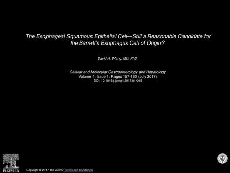 The Esophageal Squamous Epithelial Cell—Still a Reasonable Candidate for the Barrett’s Esophagus Cell of Origin?  David H. Wang, MD, PhD  Cellular and.