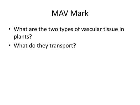 MAV Mark What are the two types of vascular tissue in plants?