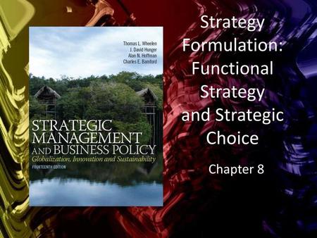 Strategy Formulation: Functional Strategy and Strategic Choice