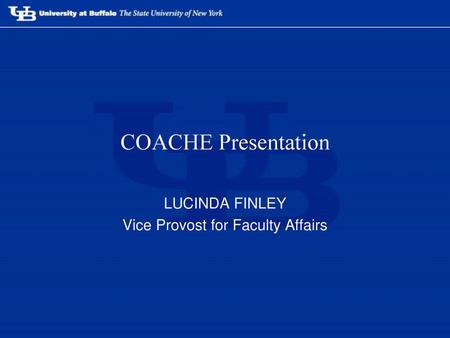 LUCINDA FINLEY Vice Provost for Faculty Affairs