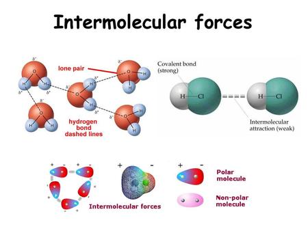 Intermolecular forces