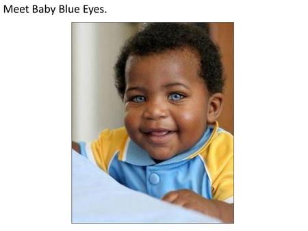 Meet Baby Blue Eyes..