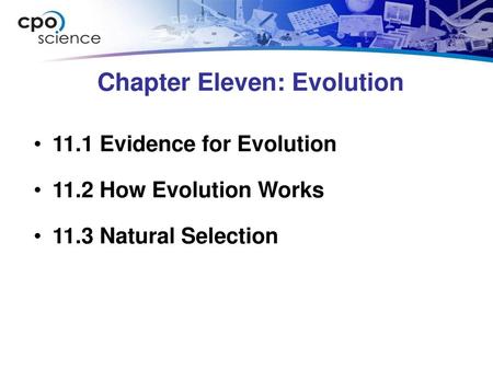 Chapter Eleven: Evolution