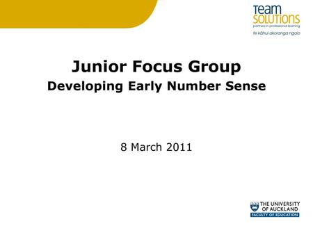 Developing Early Number Sense