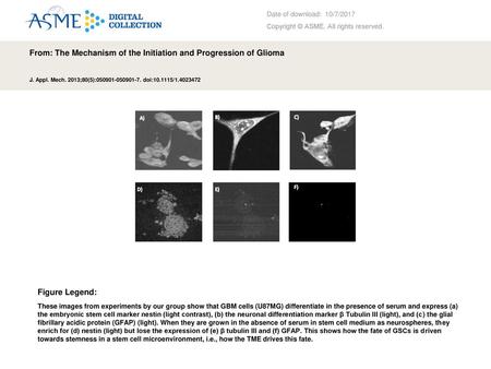 From: The Mechanism of the Initiation and Progression of Glioma