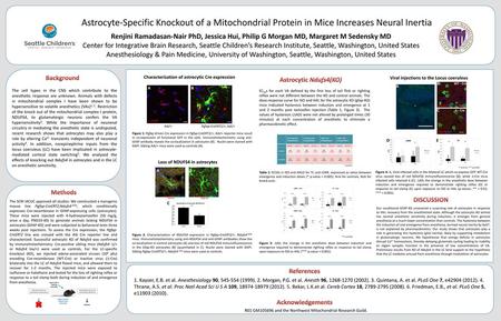 Astrocyte-Specific Knockout of a Mitochondrial Protein in Mice Increases Neural Inertia Renjini Ramadasan-Nair PhD, Jessica Hui, Philip G Morgan MD, Margaret.