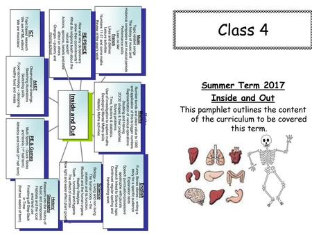 Class 4 Summer Term 2017 Inside and Out