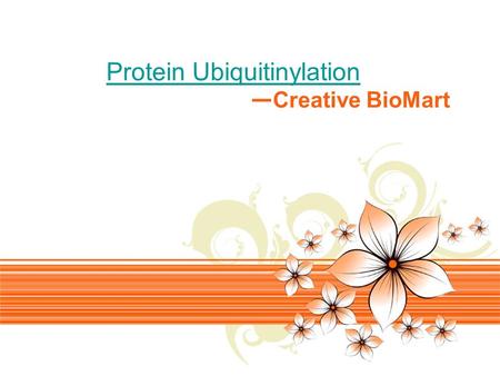 Page 1 Protein Ubiquitinylation — Creative BioMart.