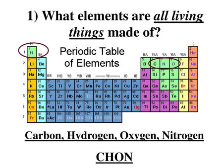 1) What elements are all living things made of?