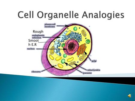 Cell Organelle Analogies