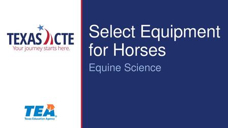 Select Equipment for Horses