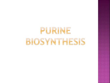 PURINE BIOSYNTHESIS.