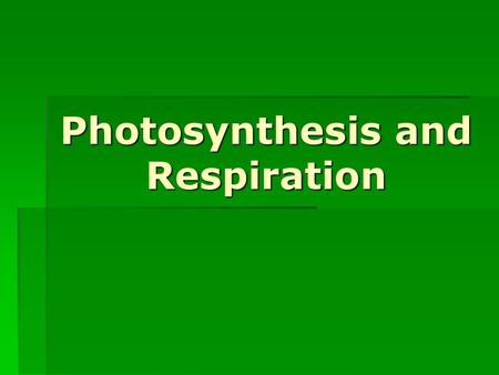 Photosynthesis and Respiration