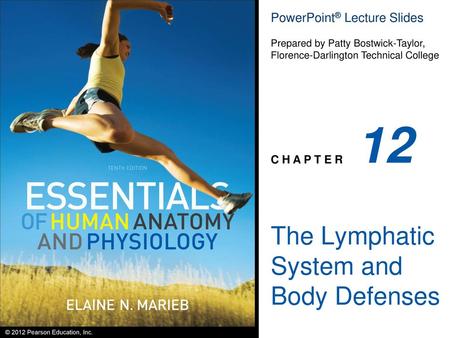 The Lymphatic System and Body Defenses