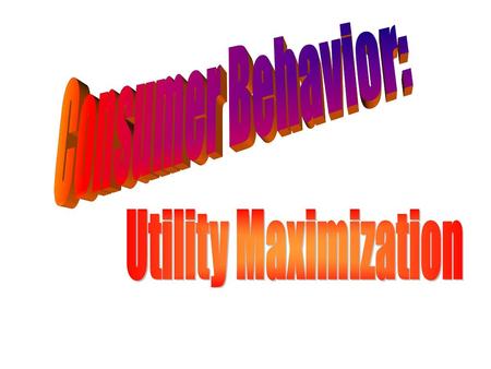 Consumer Behavior: Utility Maximization