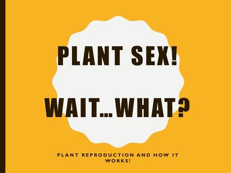 Plant reproduction and how it works!