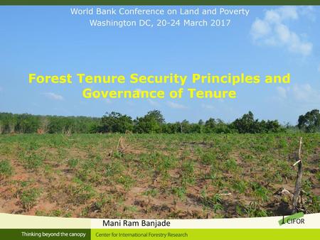 Forest Tenure Security Principles and Governance of Tenure