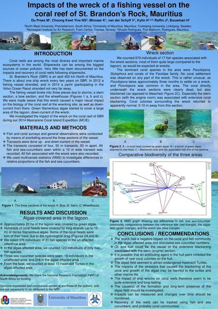 Impacts of the wreck of a fishing vessel on the