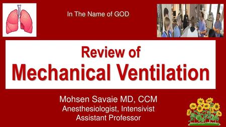 Review of Mechanical Ventilation