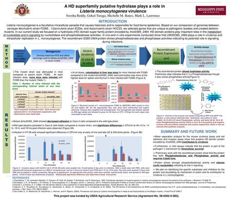 A HD superfamily putative hydrolase plays a role in