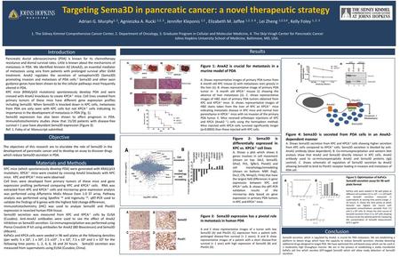 Targeting Sema3D in pancreatic cancer: a novel therapeutic strategy