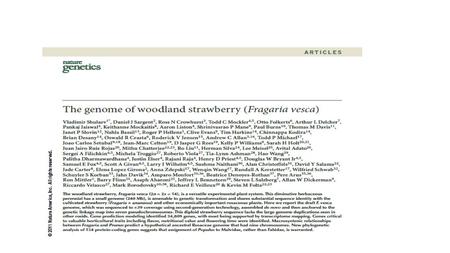 Fragaria vesca Herbaceous, perennial Genotypic diversity