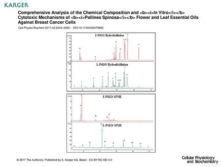 Comprehensive Analysis of the Chemical Composition and In Vitro Cytotoxic Mechanisms of Pallines Spinosa Flower and Leaf Essential.