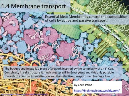 1.4 Membrane transport Essential idea: Membranes control the composition of cells by active and passive transport. The background image is a piece of artwork.