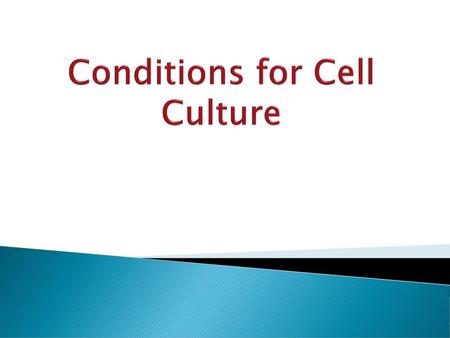 Conditions for Cell Culture