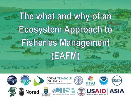 The what and why of an Ecosystem Approach to Fisheries Management