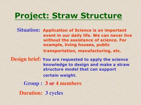 Project: Straw Structure